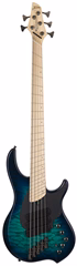 Dingwall Combustion 5 MN Whalepool Burst - E-Bass