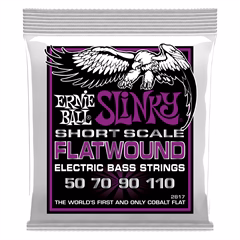 Ernie Ball 2817 Power Slinky Flatwound Short Scale 50-110      - Basssaiten