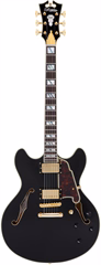 D'Angelico Excel DC Black - Semiakustische Gitarre