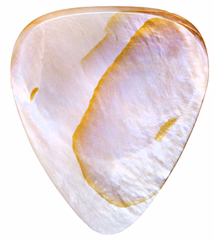 Timber Tones Shell Tones Mussel Shell  - Plektrum