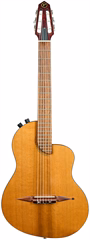 Rick Turner 2000 Renaissance Nylon String - Hybrid-Gitarre