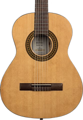 Ortega RPPC34 - Gitarren-Set