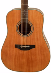 Takamine GD20-NS - Akustische Gitarre
