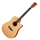 Akustische Gitarren Dreadnought