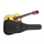 Cases für 1/2 Gitarren