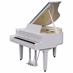 Roland GP-9M PW - Digitální piano