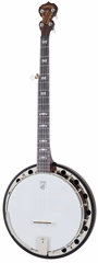Deering Artisan Goodtime Two Banjo - Banjo