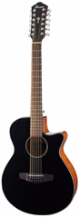 Ibanez AEG5012H Black - Dvanáctistrunná elektroakustická kytara