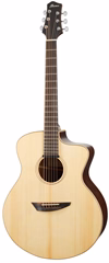 Ibanez PA300E Natural - Elektroakustická kytara