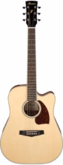 Ibanez PF16WCE Natural - Elektroakustická kytara