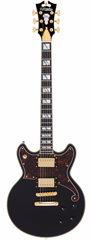 D'Angelico Deluxe Brighton Black - Elektrická kytara