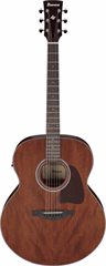 Ibanez AJ54E Natural - Elektroakustická kytara