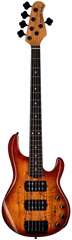 Sterling by Music Man StingRay 5 HH Charcoal Frost - Elektrická baskytara