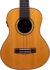 Flight Diana TE Soundwave - Elektroakustické ukulele