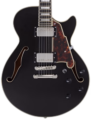 D'Angelico Premier SS Single Cutaway Stop-Bar Tailpie CE Black Flake - Semiakustická kytara