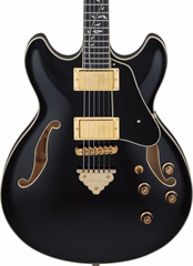 Ibanez AS93SP Black - Semiakustická kytara