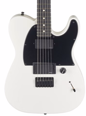 Fender Jim Root Telecaster EB FW - Elektrická kytara