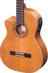 Ortega RCE131L