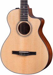 Taylor 314ce-N - Klasická elektroakustická kytara