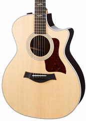 Taylor 414ce-R V-Class Bracing - Elektroakustická kytara