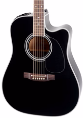Takamine EF341SC - Elektroakustická kytara