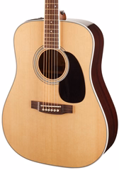 Takamine EF360GF - Elektroakustická kytara