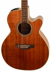 Takamine EF508KC - Elektroakustická kytara