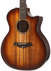 Taylor Custom GA C24ce B3003 - Elektroakustická kytara