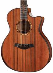 Taylor Custom C14ce B4002 - Elektroakustická kytara