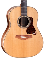Taylor Gold Label 817e - Elektroakustická kytara