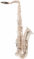Bacio Instruments BTS-100SG (použité) - Saxofon