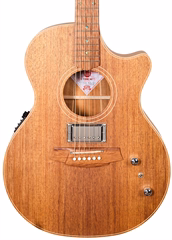 Cole Clark 2021 TL-Thinline TN2EC BLBL HUM - Hybridní kytara