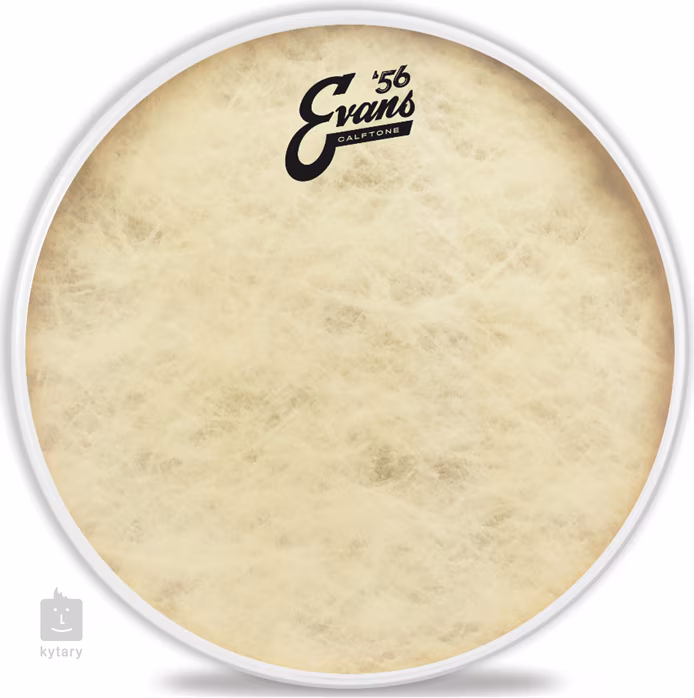 Evans 14" Calftone - Blána na tomy