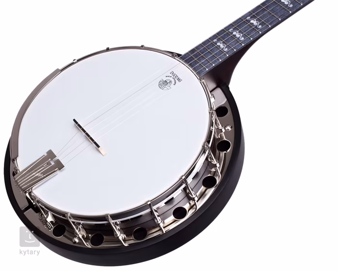 Deering Artisan Goodtime Special Banjo - Banjo