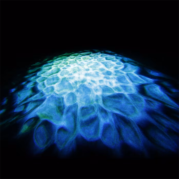 CAMEO SCUBA - LED efekt