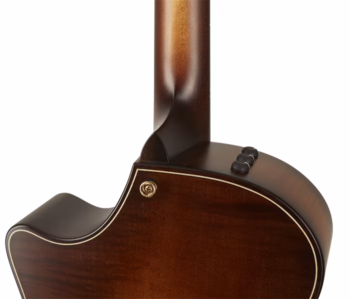 Taylor Builders Edition 614ce - Elektroakustická kytara