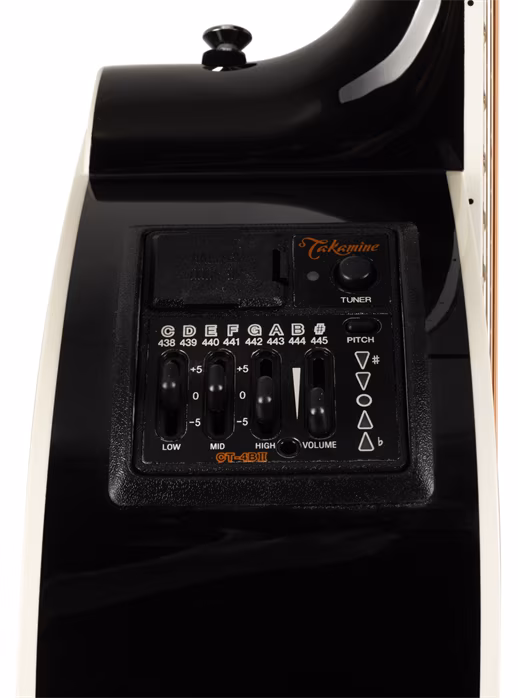 Takamine EF381SC - Dvanáctistrunná elektroakustická kytara
