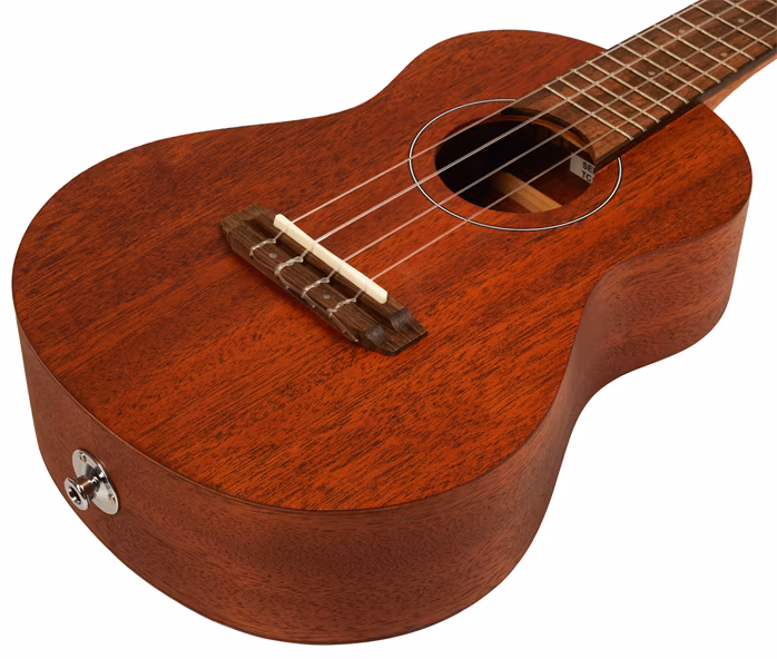 Takamine EGU-C1 - Elektroakustické ukulele