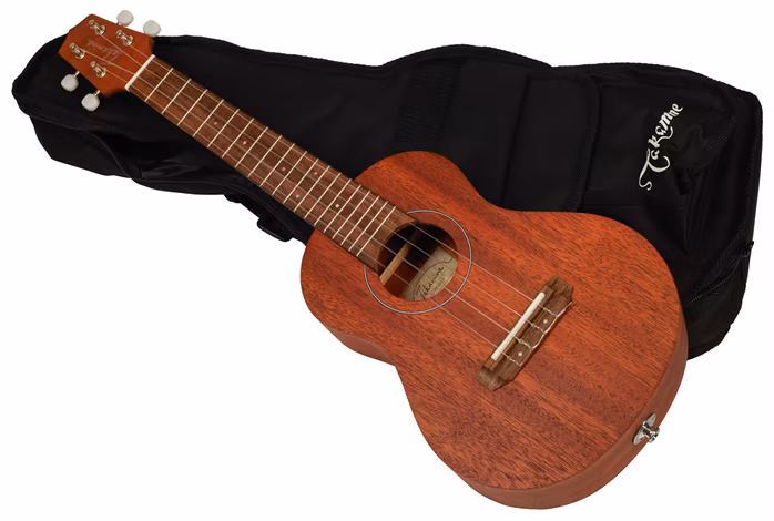 Takamine EGU-C1 - Elektroakustické ukulele