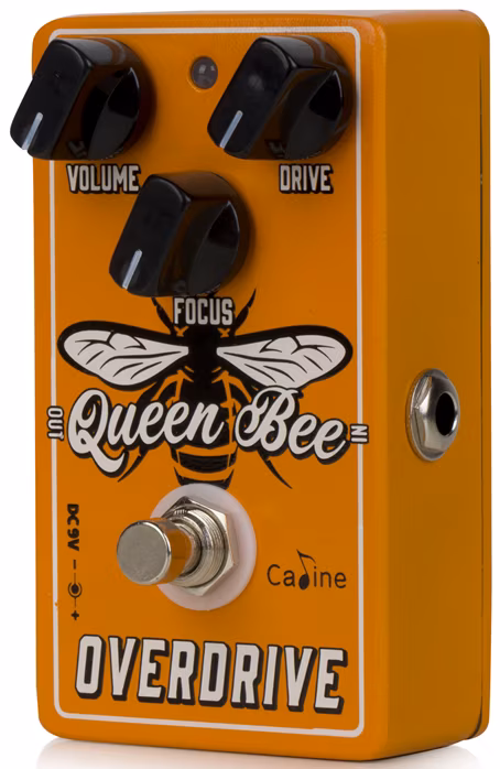 Caline CP-503 Queen Bee Overdrive - Kytarový efekt