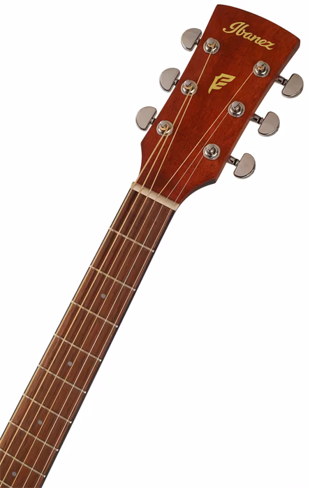 Ibanez PF10CE Natural - Elektroakustická kytara