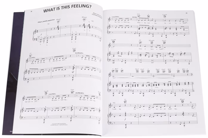 MS Stephen Schwartz: Wicked (Piano/Vocal Selections) - Noty pro klavír