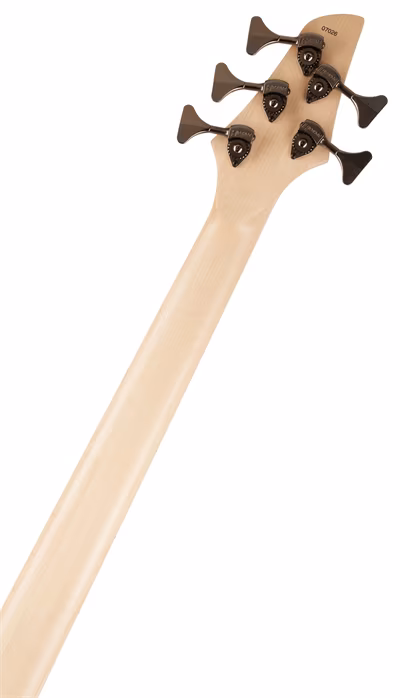 Dingwall Combustion 5 MN Ultraviolet Burst - Elektrická baskytara