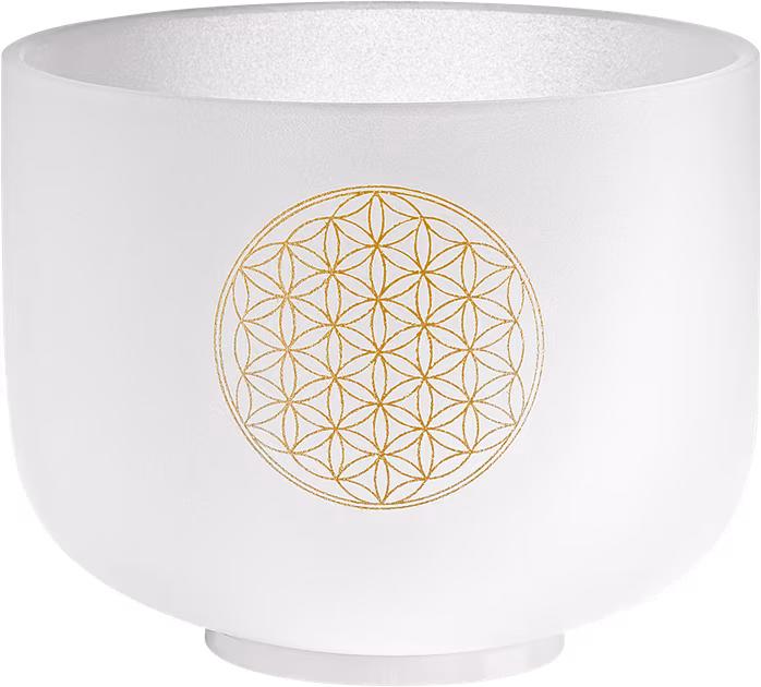 Meinl Sonic Energy CSB8FOL - Tibetská zpívající mísa