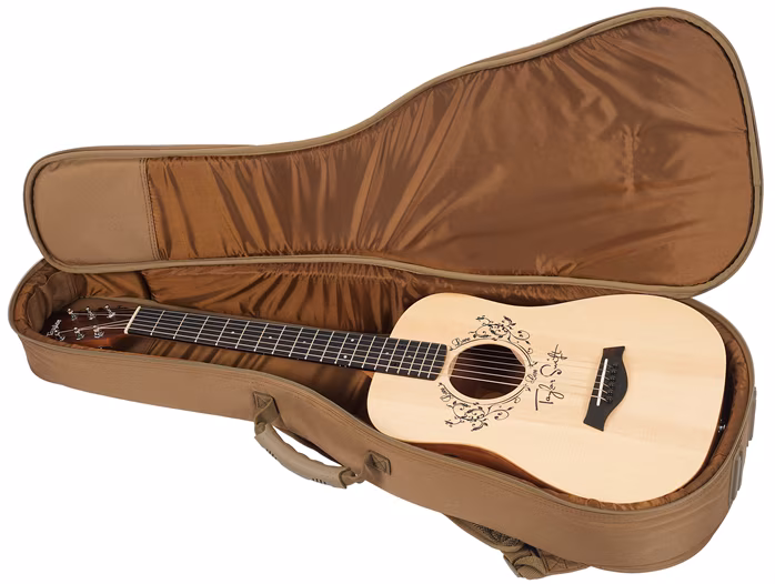 Taylor TS-BTe - Elektroakustická kytara