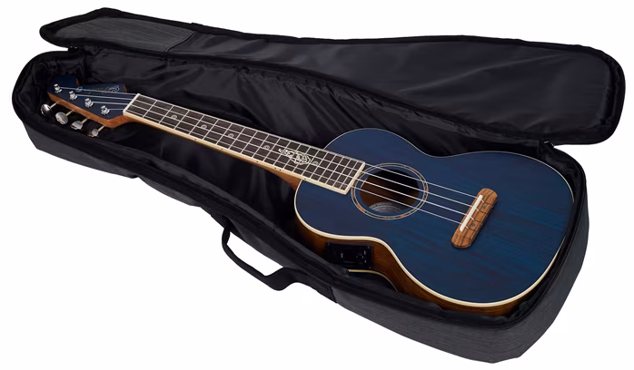 Fender Dhani Harrison Uke WN SB - Elektroakustické ukulele