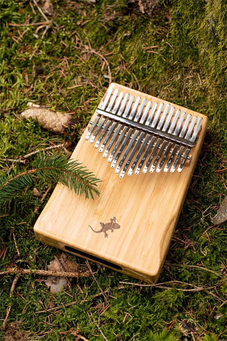 Ortega OKB2 - Kalimba