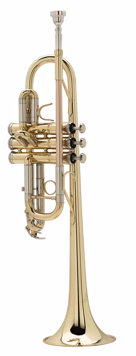 Soundsation STPGD-10C - Trubka