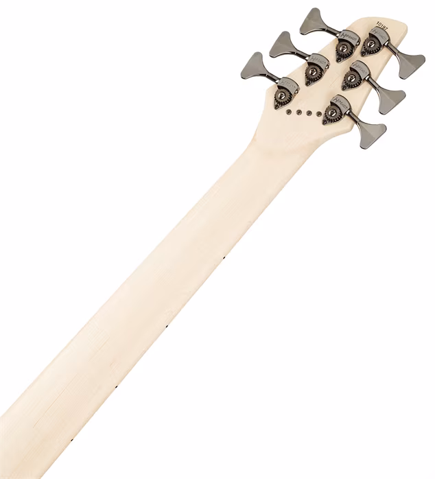 Dingwall NG3 Nolly Signature 6 MN Metallic Black - Elektrická baskytara