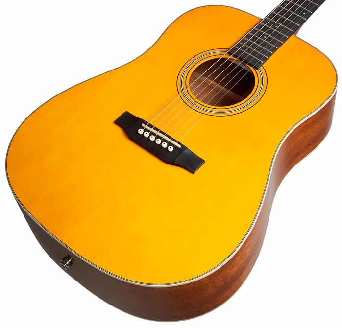 Tanglewood TW40DANE - Elektroakustická kytara